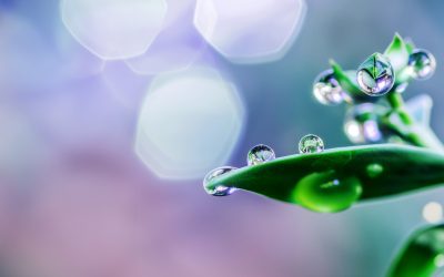 L’hypersensibilité : une autre manière de percevoir le monde